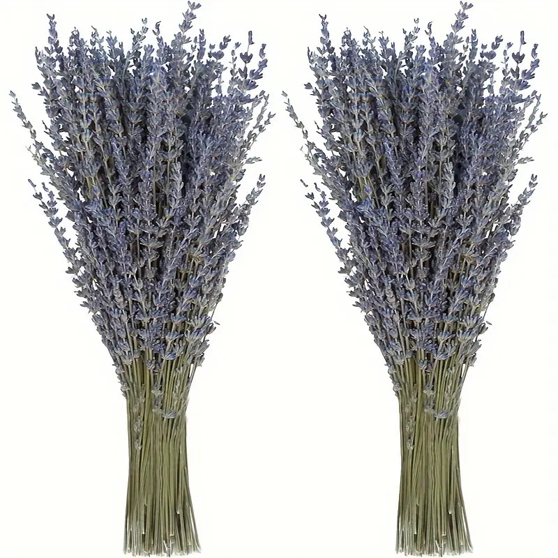 Dried Flower Bulk - 200個/束 ラベンダー ドライフラワー ホームリビングルーム装飾用 アロマセラピー材料 天然ドライフラワー
