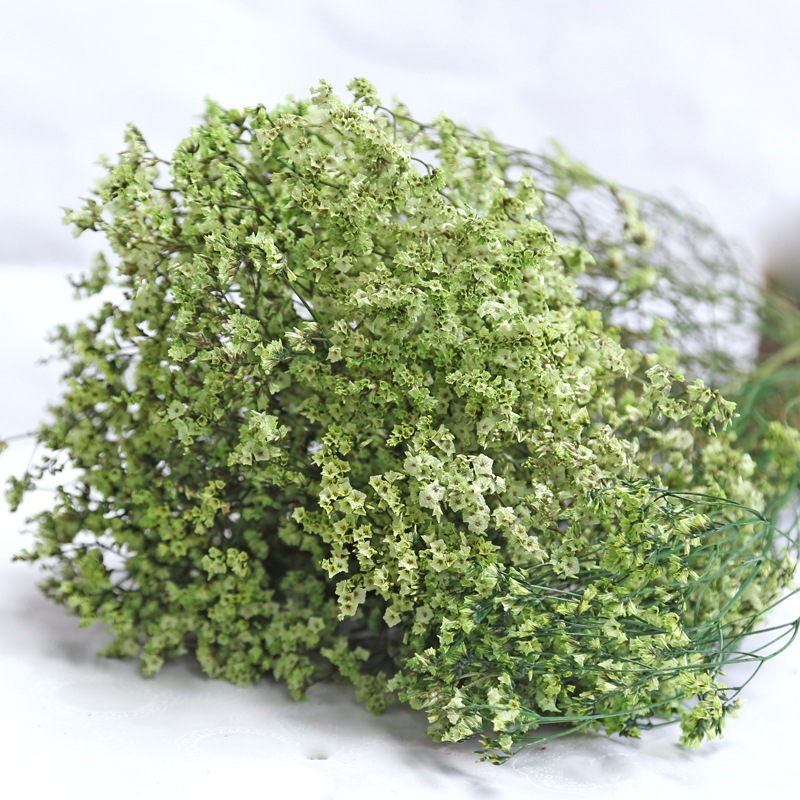 Dried Flower Bulk - ナチュラルフレッシュドライプリザーブドフラワークリスタルグラスDIYギフトブーケバレンタインデー母の日ギフト結婚式の装飾植物