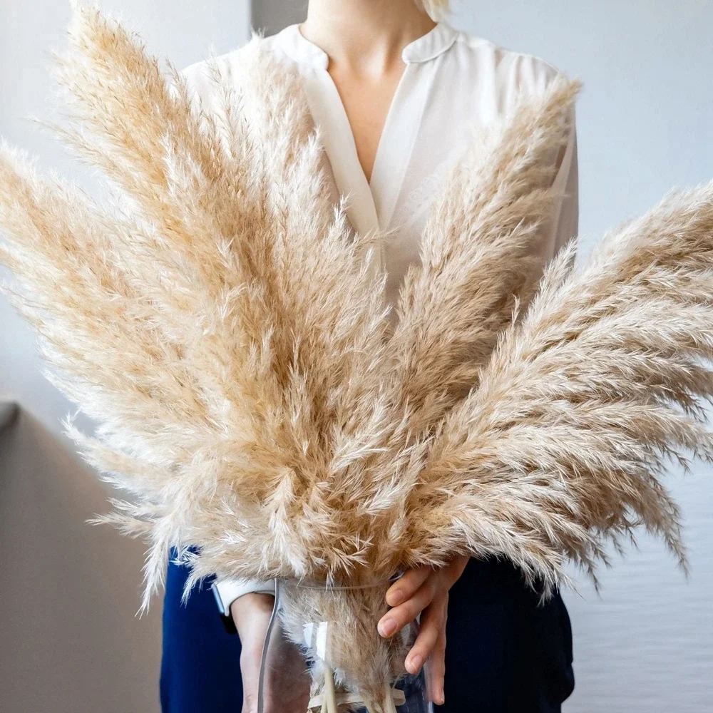 Dried Flower Bulk - 120cm - 130cm ふわふわ大きなススキ、ナチュラルドライフラワーブーケ、ボヘミアンウェディングデコレーション、ショップオーナメント、ヴィンテージホームデコレーション