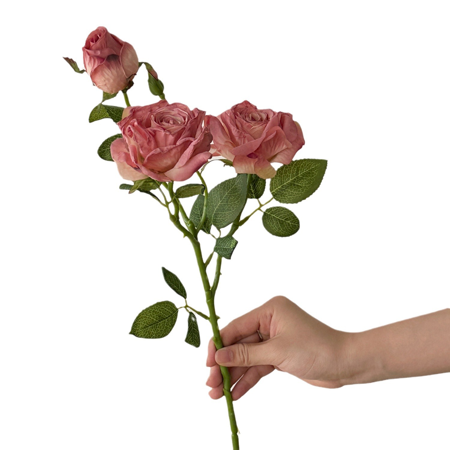 造花レトロ装飾シルクフラワー ドライフラワーブーケ シルクフ - Dried Flower Bulk のレビューと価格