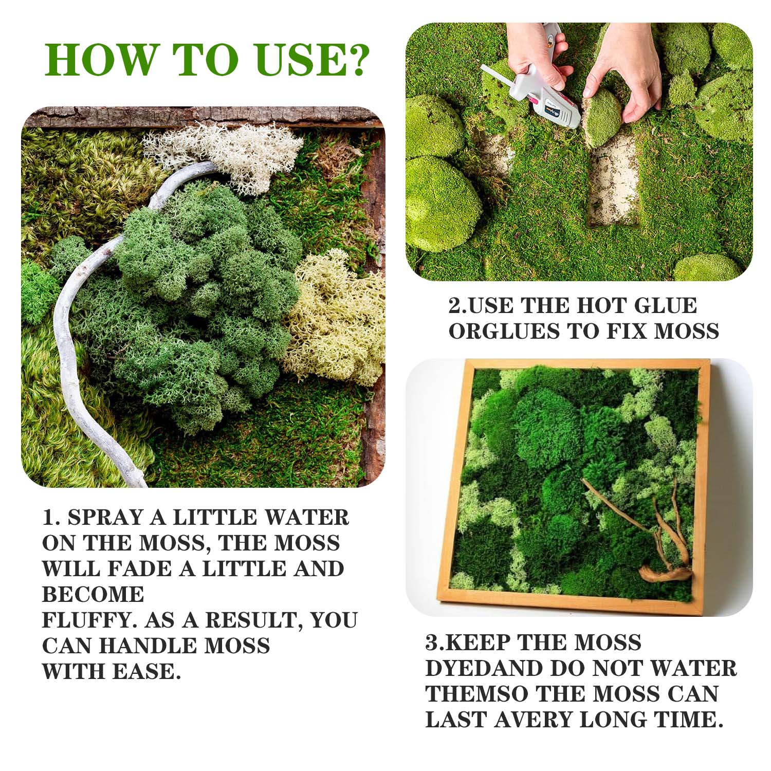 人工緑の植物永遠の生活苔 DIY 草庭工芸品ホームルームの装 - Terrarium Moss Art のレビューと価格