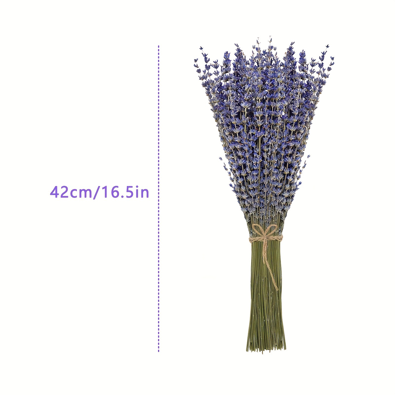 200個/束 ラベンダー ドライフラワー ホームリビングルー - Dried Flower Bulk のレビューと価格
