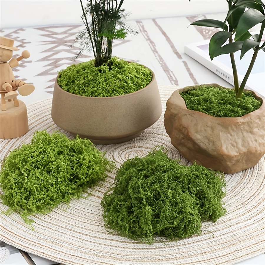 人工フェイクモス 1 パック、1.05 オンス DIY シミ - Terrarium Moss Art のレビューと価格