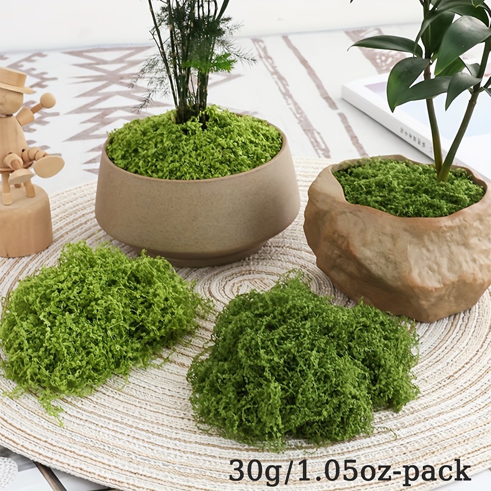 人工フェイクモス 1 パック、1.05 オンス DIY シミ - Terrarium Moss Art のレビューと価格