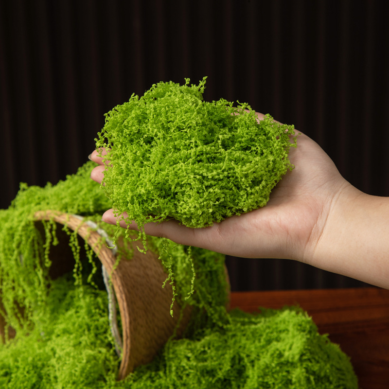 200 グラム永遠の命苔 DIY 工芸品草人工緑植物ホームル - Terrarium Moss Art のレビューと価格
