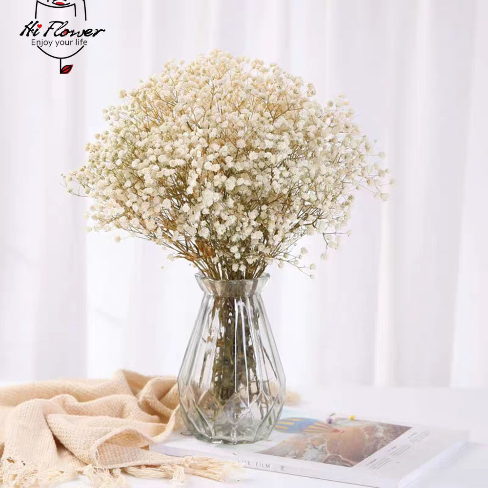 ナチュラルドライフラワープリザーブドカスミソウベビーブレスフ - Dried Flower Bulk のレビューと価格