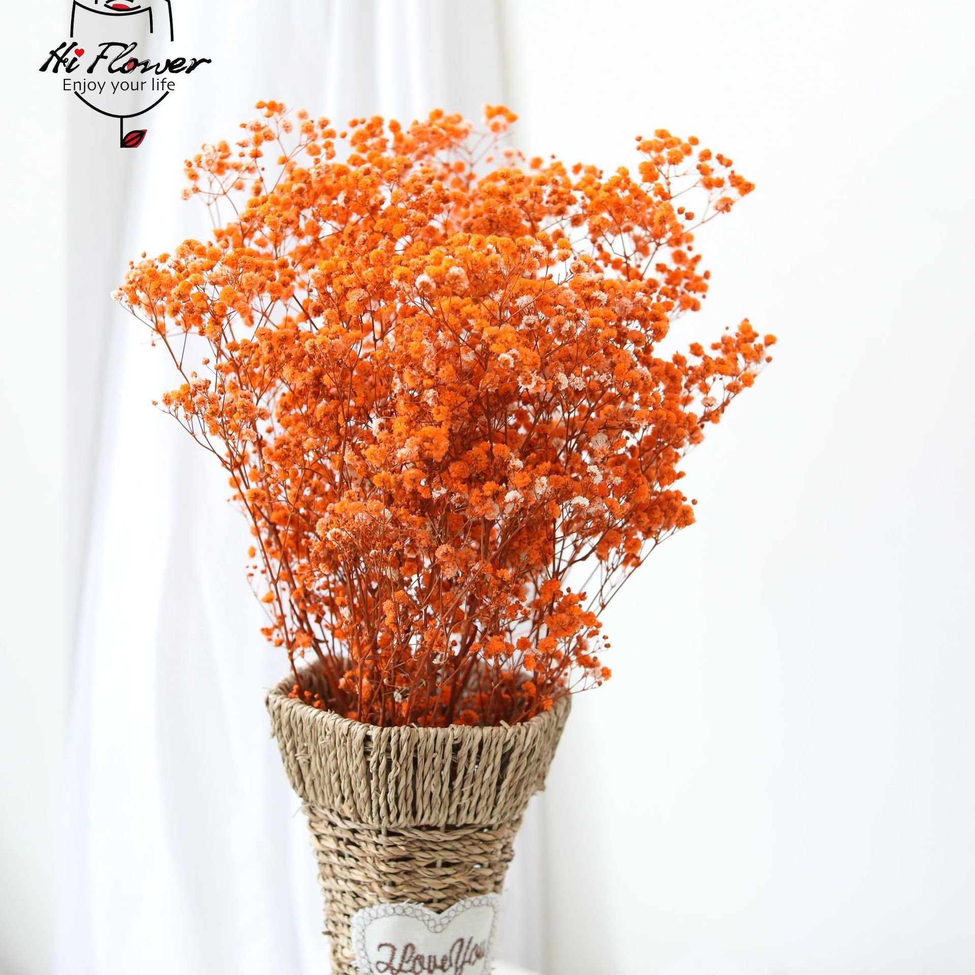 ナチュラルドライフラワープリザーブドカスミソウベビーブレスフ - Dried Flower Bulk のレビューと価格