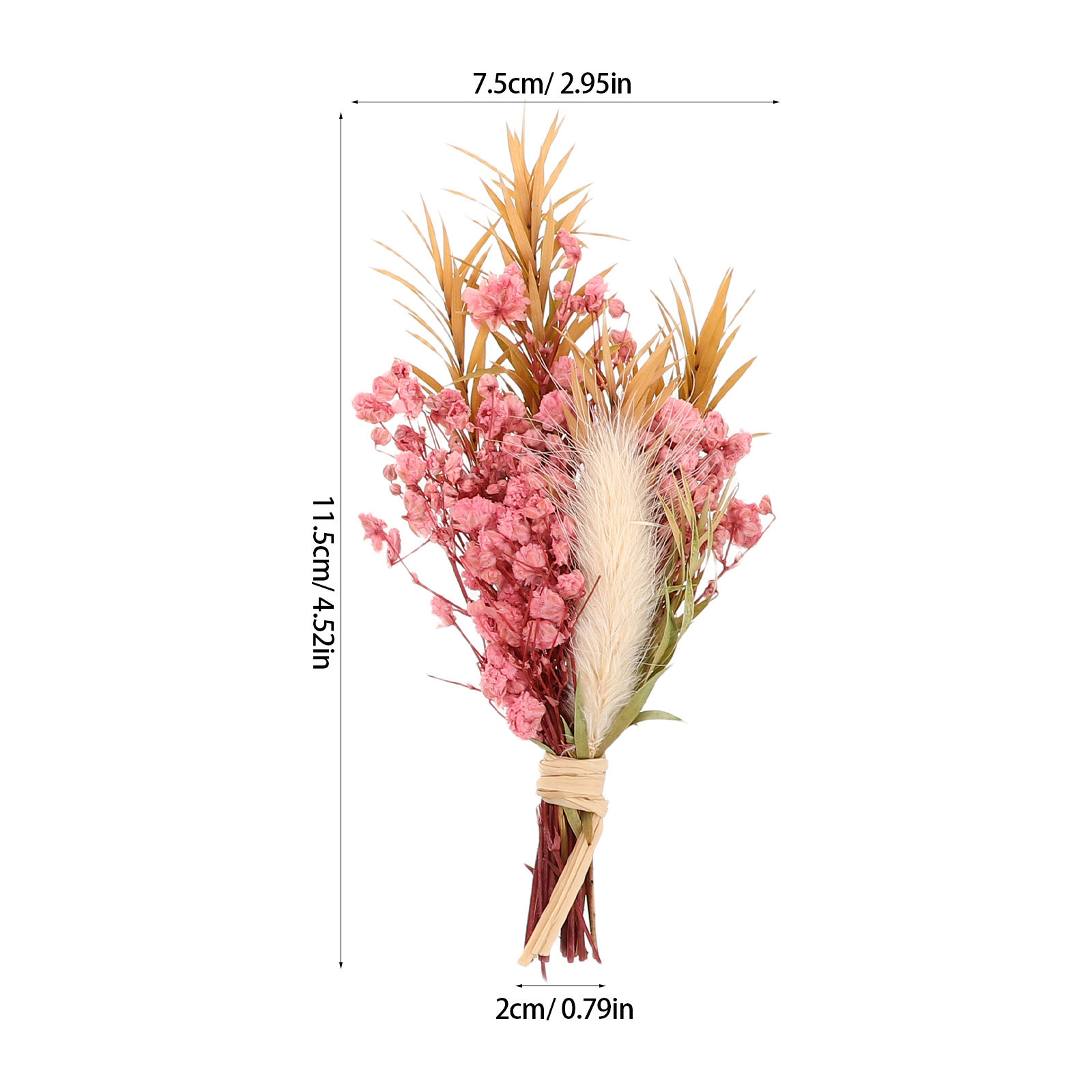 3 個ミニドライフラワーブーケナチュラル小さなドライフラワー - Dried Flower Bulk のレビューと価格