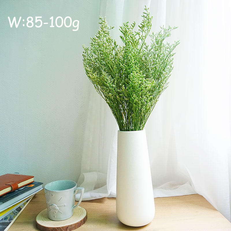 50g/プリザーブドバレンタイングラス リモニウムフラワー  - Dried Flower Bulk のレビューと価格