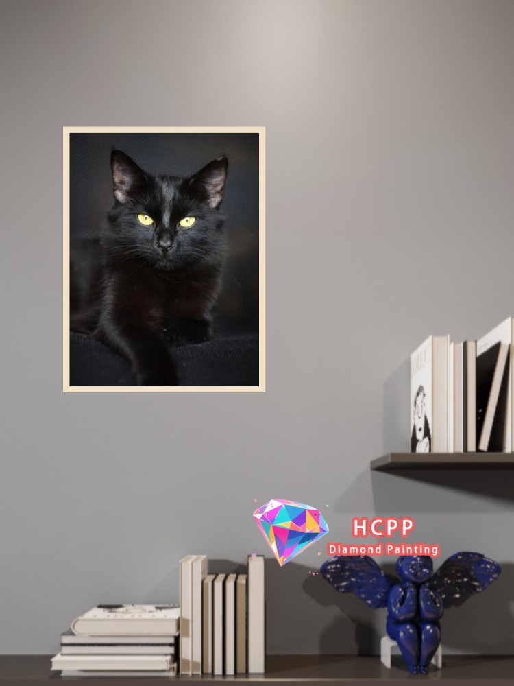 フレームなし黒猫動物ダイヤモンドペインティングキット正方形ラ - Resin Craft Kit のレビューと価格