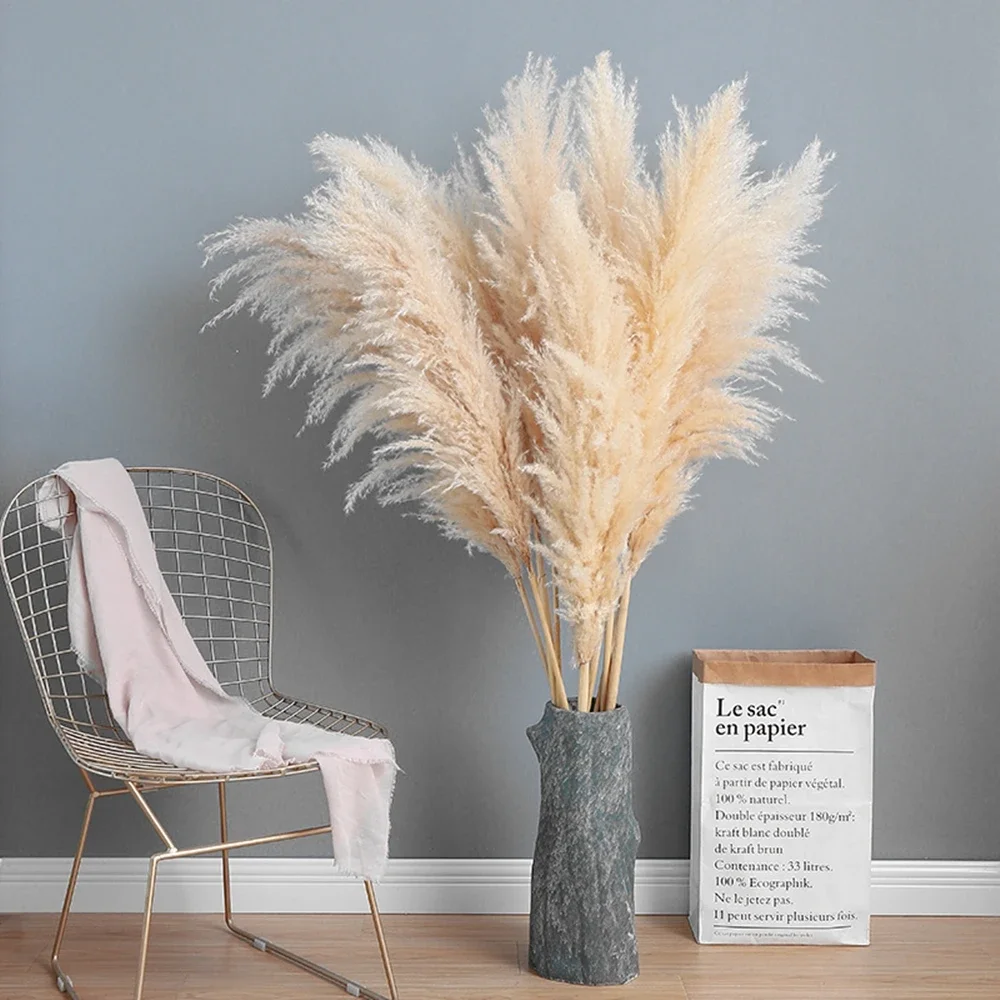 120cm - 130cm ふわふわ大きなススキ、ナチュラル - Dried Flower Bulk のレビューと価格