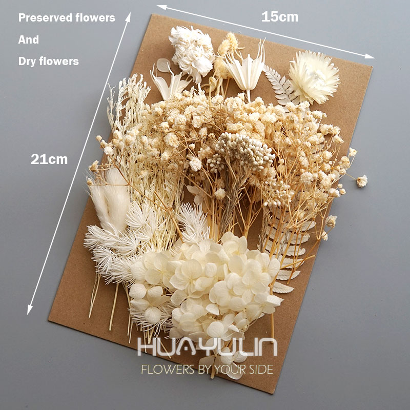 1 パック人工植物ドライ本物の花プリザーブド材料エポキシ樹脂 - Flower Preservation Resin のレビューと価格