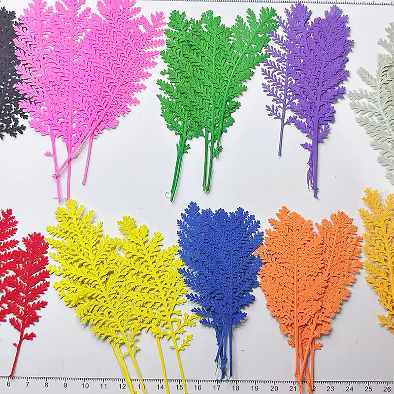 100個入り天然銀色の羽根葉、色染め、押し花、紙作り用、DI - Resin Craft Material のレビューと価格