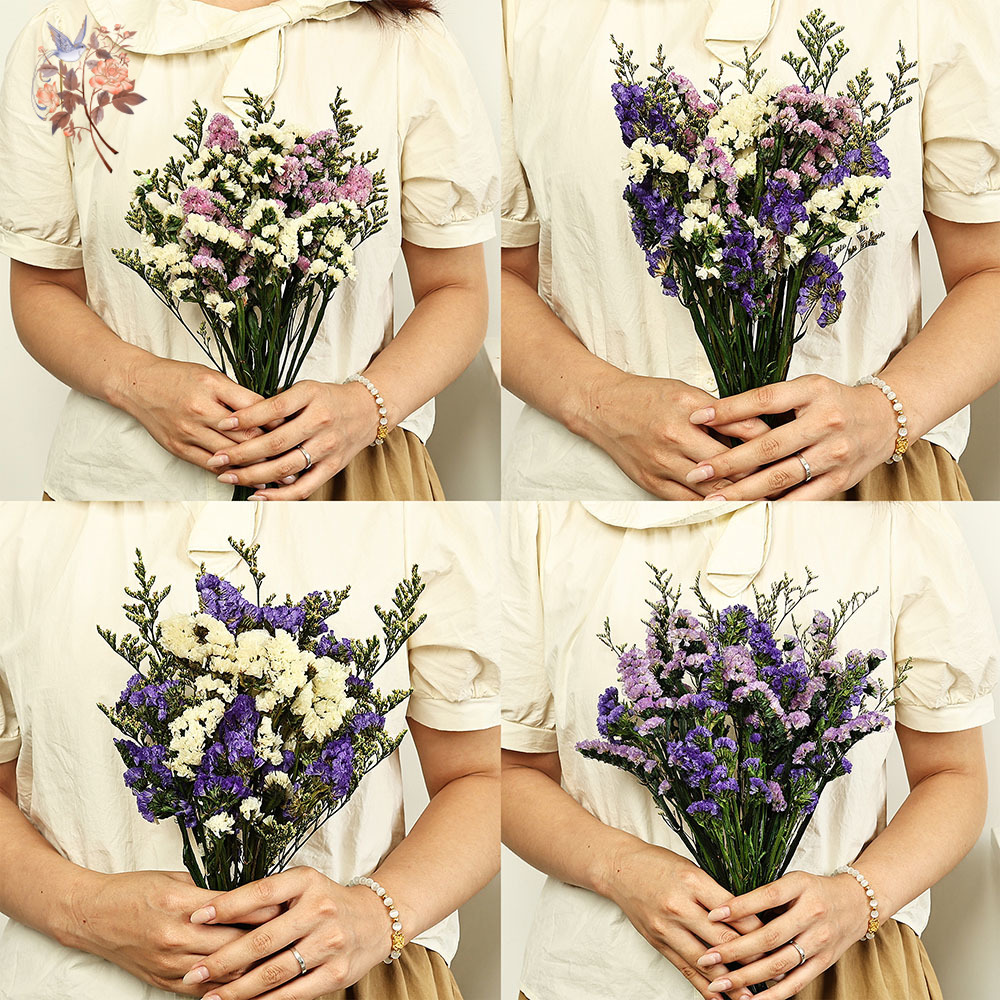 100 グラム天然本物の忘れな草の花の花束ミックスリモニウム - Dried Flower Bulk のレビューと価格