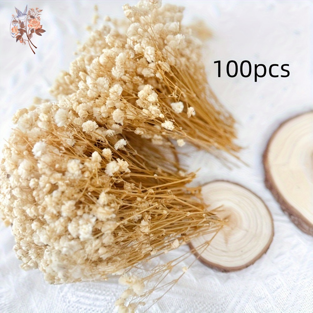 100個入りミニドライカスミソウ、レジン工芸DIY、家の装飾 - Resin Craft Ideas のレビューと価格