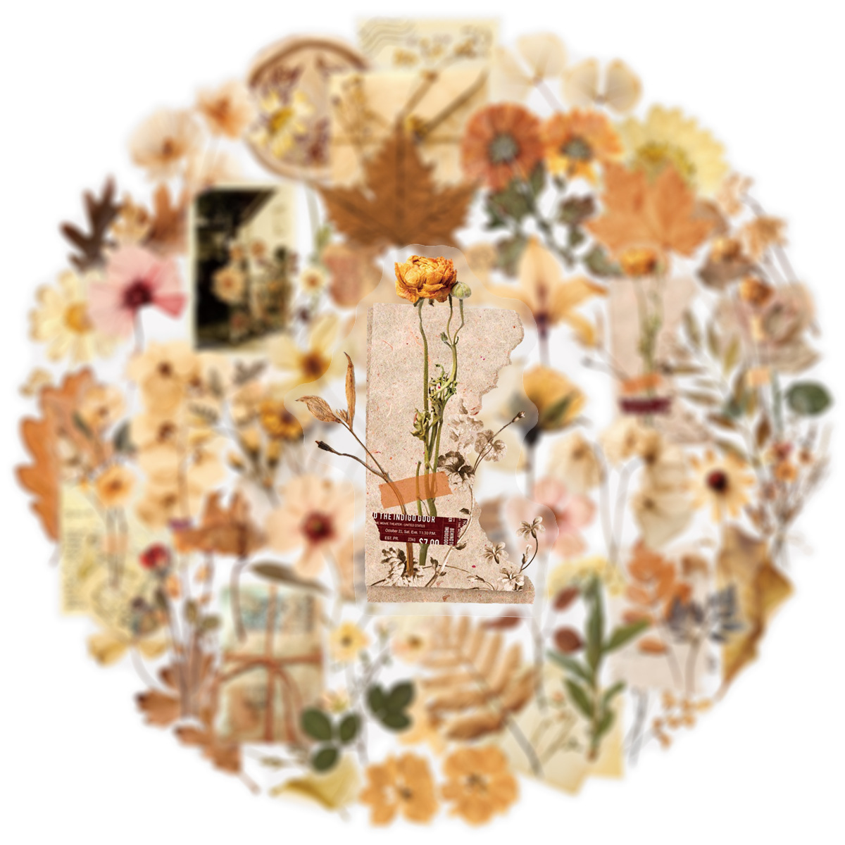 50 個透明ドライフラワー葉標本ステッカー美的装飾文具日記電 - Dried Flower Bulk のレビューと価格